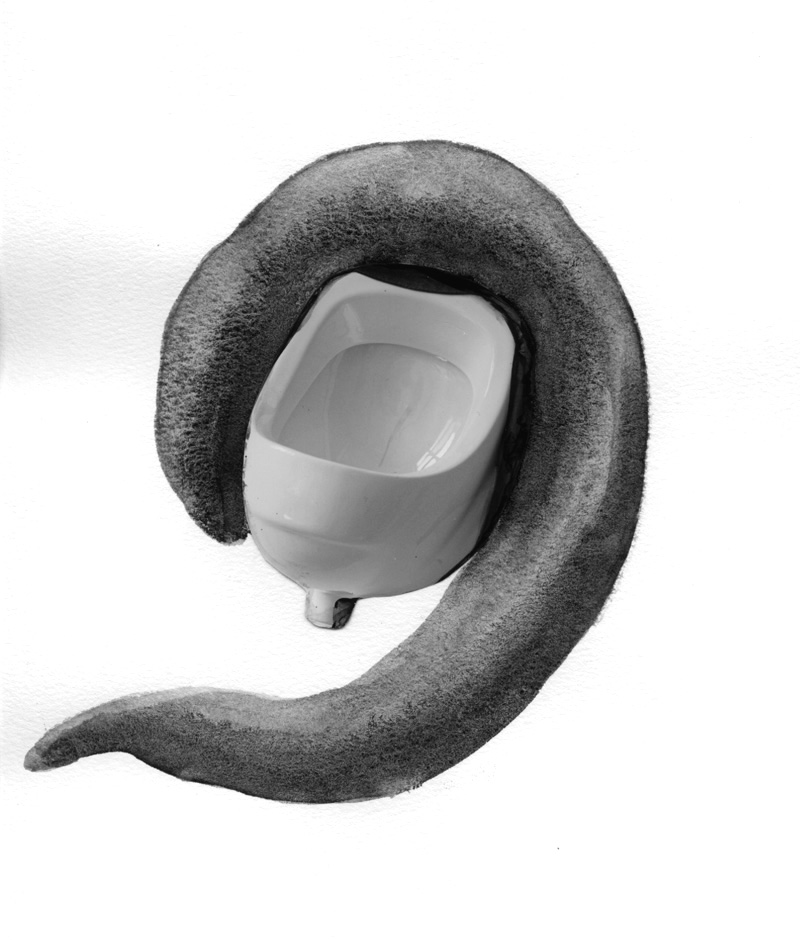 desrrostro-txaro-fontalba