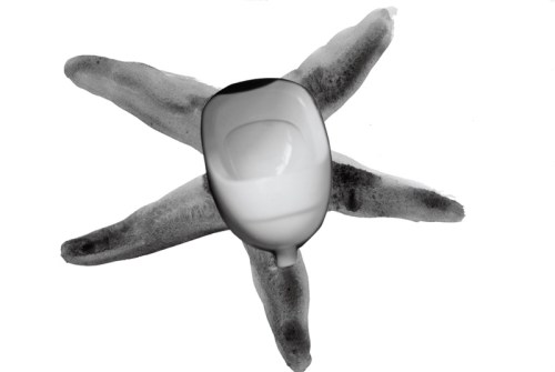 desrostro txaro fontalba amares