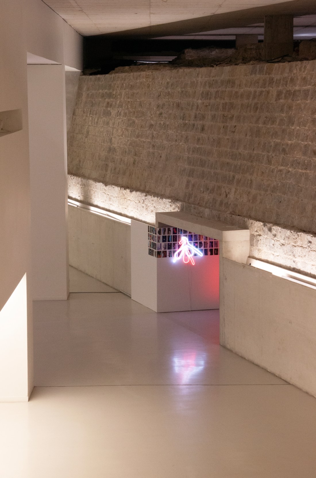 CLITORIA en Baluarte